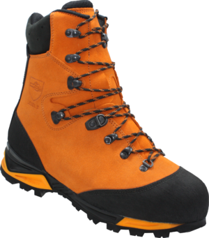 DOLOMITE TETON LEVEL 2