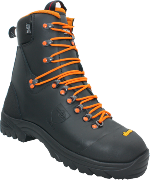 FOREST RANGER LEVEL 2