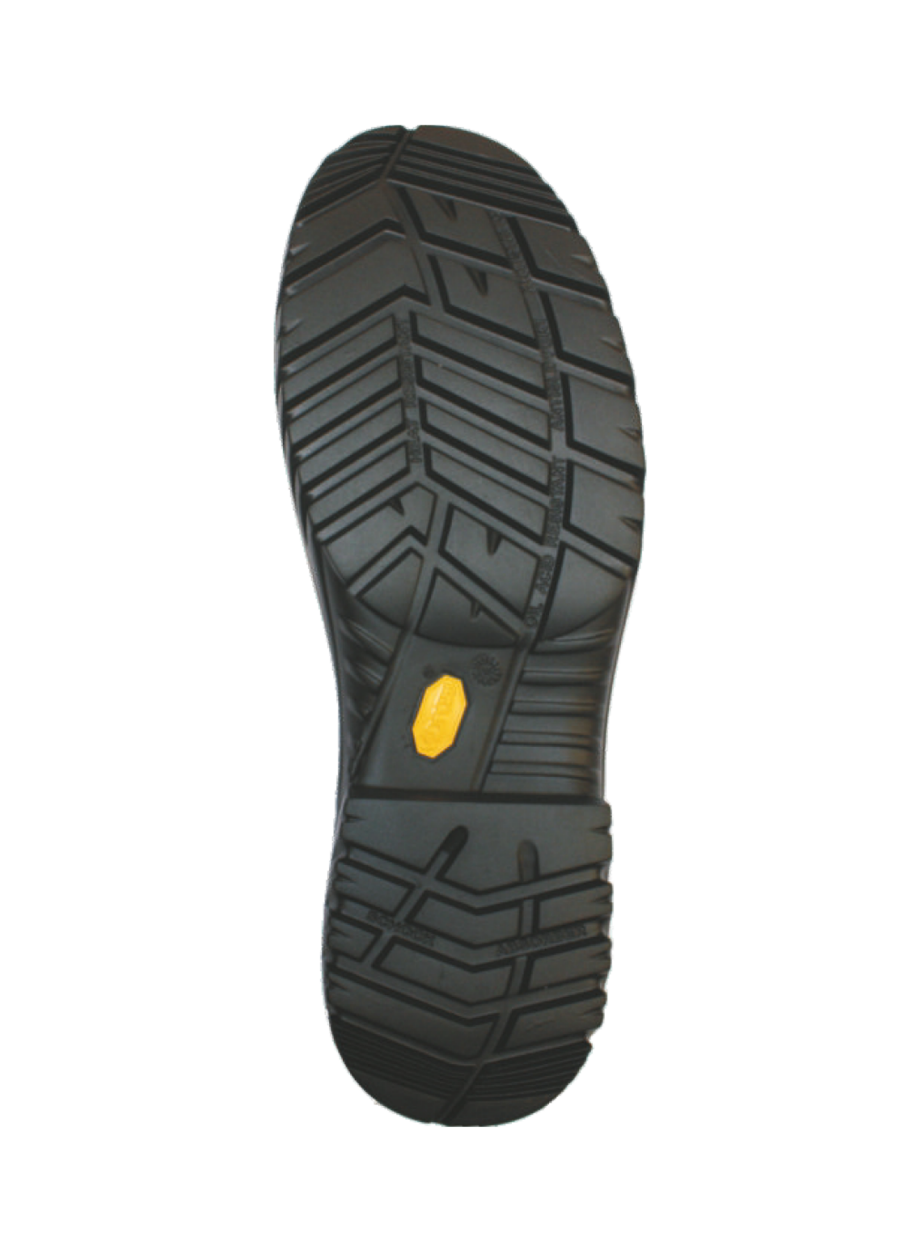 FOREST RANGER LEVEL 2 - Image 2